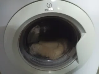 Puerta secadora Indesit