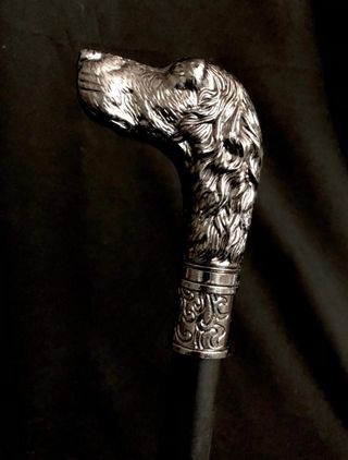 Bastón de caza Irish Setter. Perfecto estado