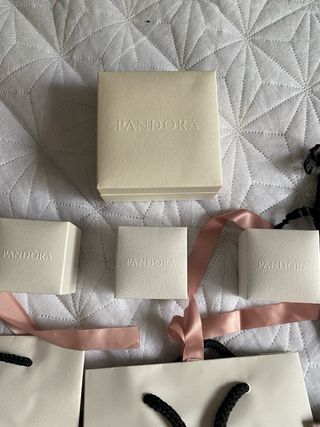 Lote Bolsas y Cajas Pandora