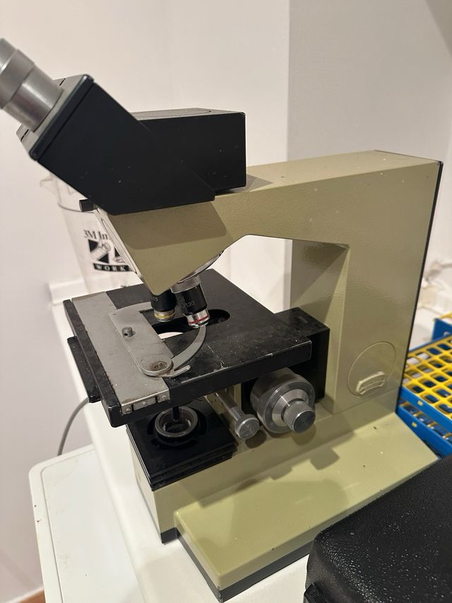 Microscopio Steindorff Berlin