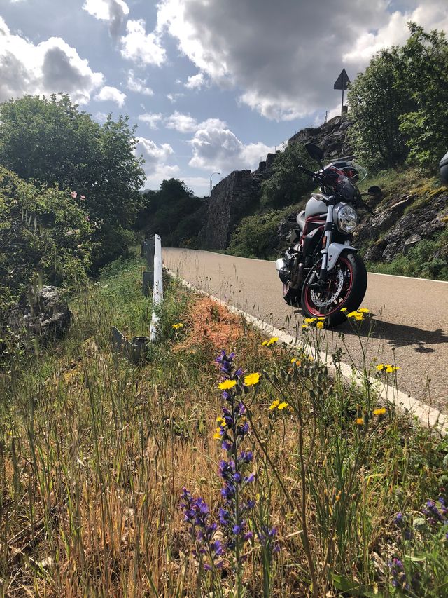 Ducati Monster 797 2017 Termignoni Deslimitada
