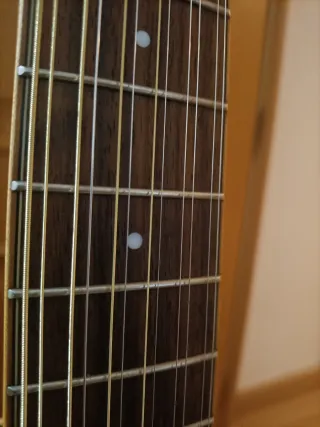 Guitarra Electroacústica 12 Cuerdas washburn