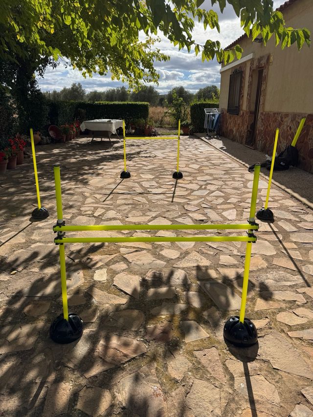 Circuito Agilidad Policía Nacional / Guardia Civil