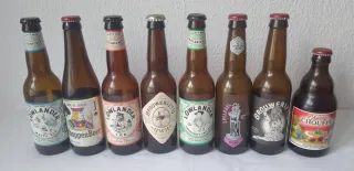 Lotto di 8 bottiglie di birra