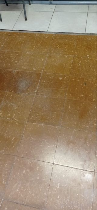 Azulejos antiguos marrones