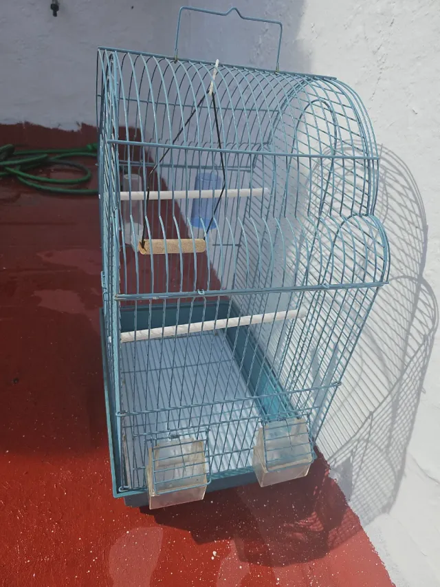 Jaula para pájaros azul. 