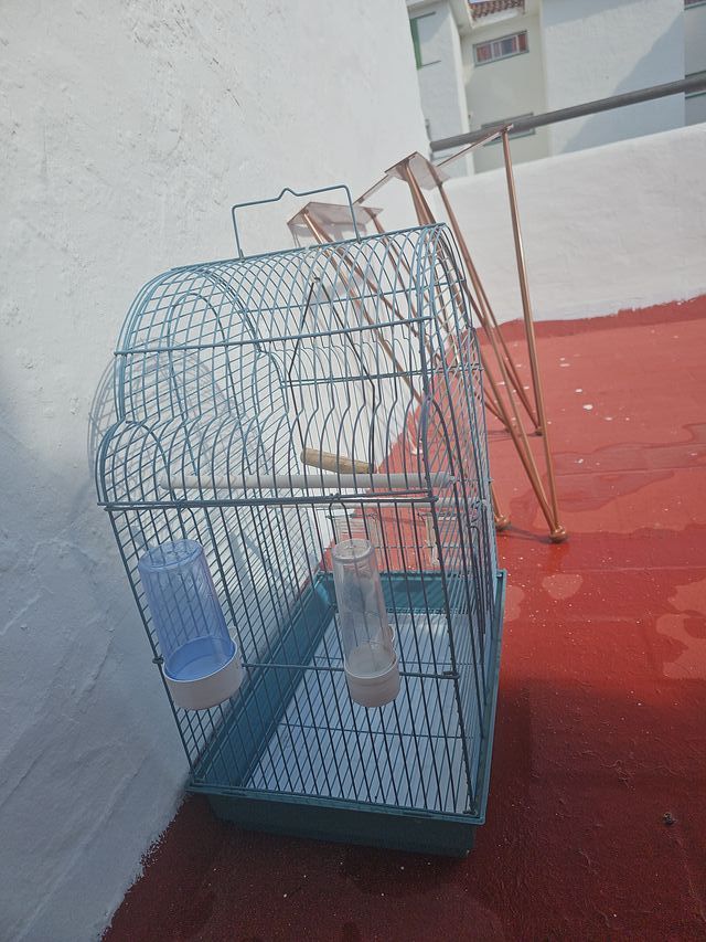 Jaula para pájaros azul. 