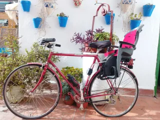 Bici clásica con muchos extras