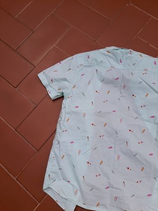 Camisa T-Scedsr manga corta estampada