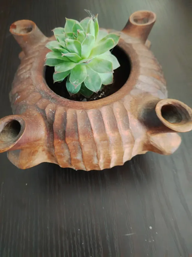 Grolla vintage anni '70