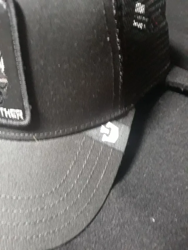 Gorra Goorin Bros Pantera Negra