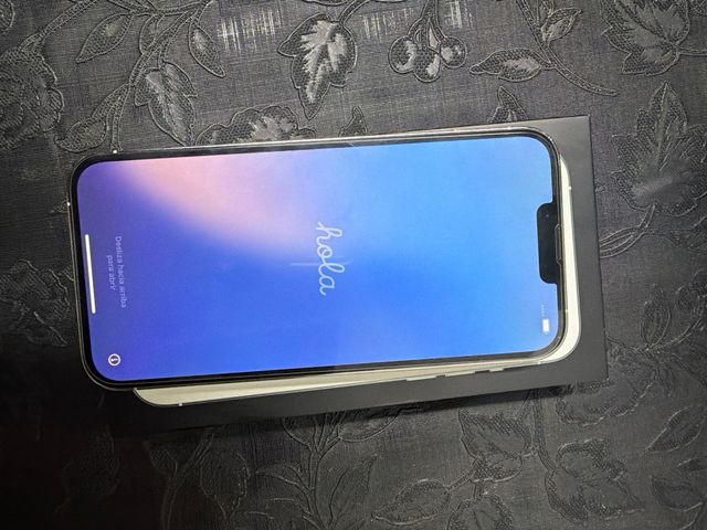 iPhone 13 Pro Max  256 gb