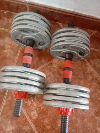 Mancuernas ajustables con discos