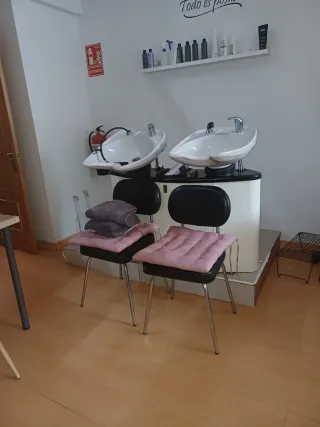 Lavacabezas profesional doble