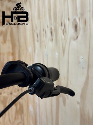 Gazelle Avignon C8 HMB Shimano Nexus 2023