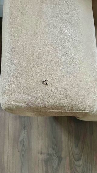 Sofá Extensible Beige Terciopelo Chaiselong