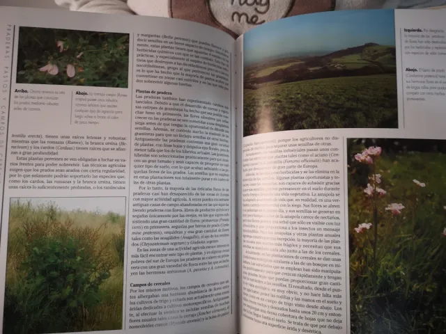 Martínez Roca guías prácticas naturales completas