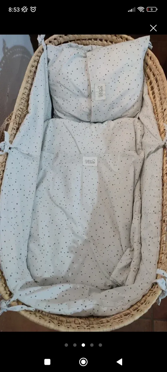 Culla Moses in vimini