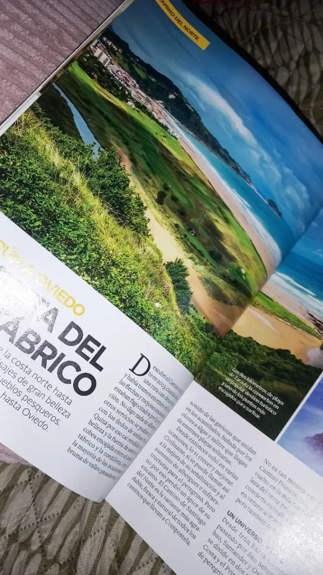 Viajes (Edición Especial)