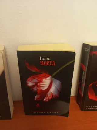 Crepúsculo (Saga Crepúsculo 1) (Spanish Edition)