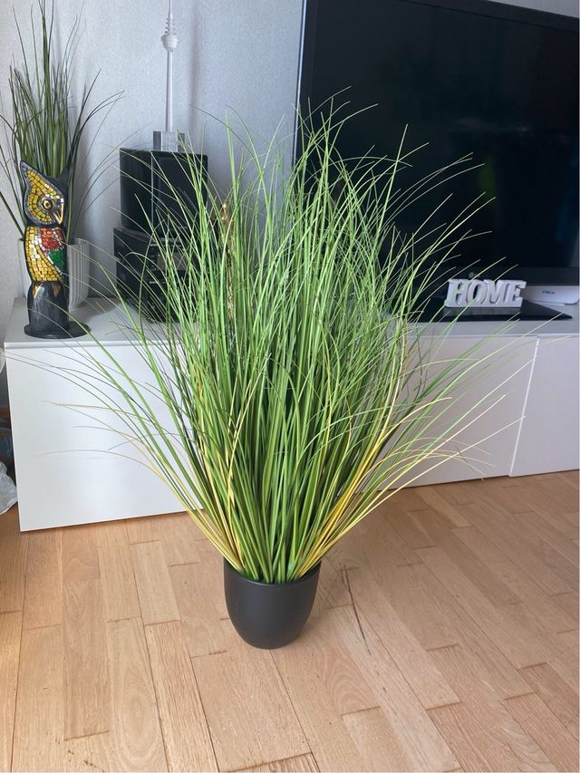 Planta artificial hierba