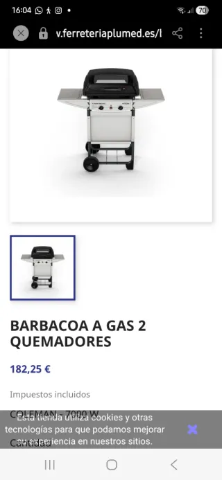 Barbecue grigio Campingaz Expert