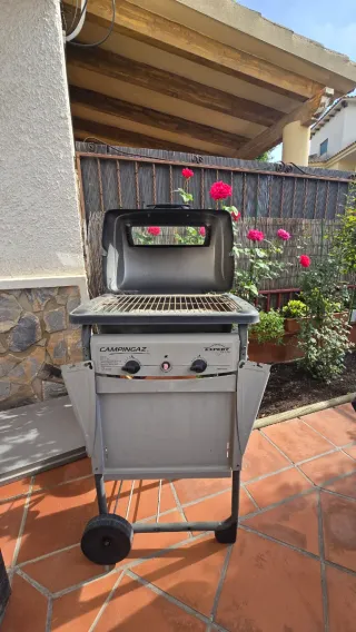 Barbecue grigio Campingaz Expert