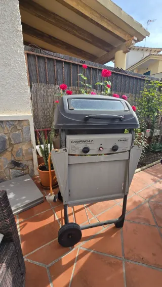 Barbecue grigio Campingaz Expert