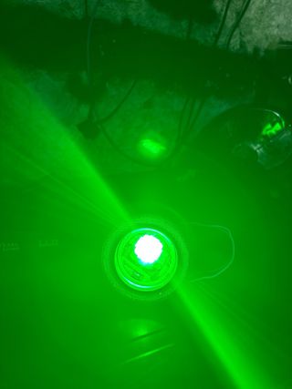 Angel eye RGB for Zip SP MK2