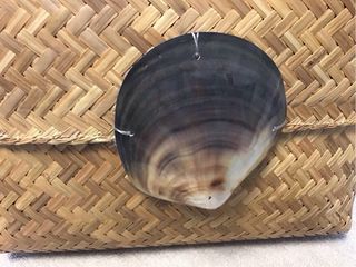 clutchBolso de mano de fibras naturales con concha