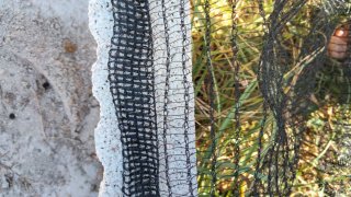 Redes/mantas 6x4 m para aceitunas