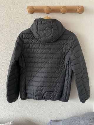 Plumas Mountain gris