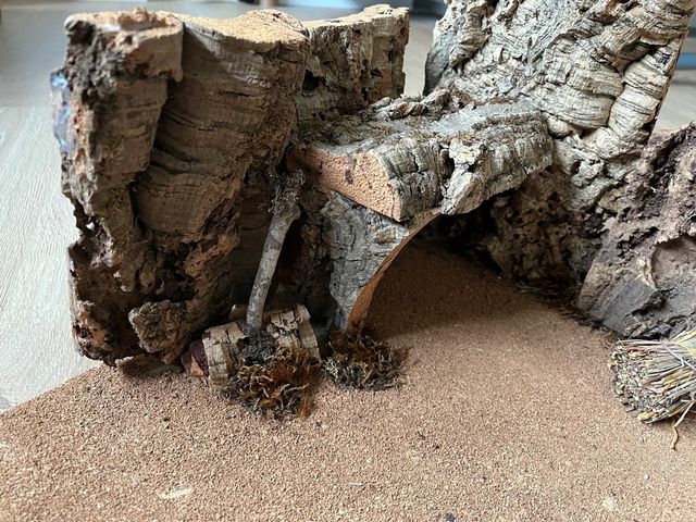 Portal de Belén 70x40 cm