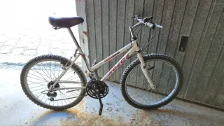 Bicicleta de Montaña Agece