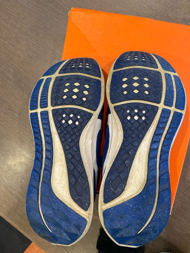 Zapatillas Nike Pegasus 40 Niñ@ Azul/Blanco