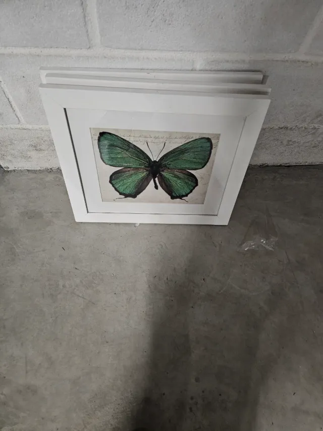 Cuadro Decorativo Mariposa