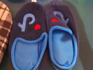 Zapatillas de ir por casa