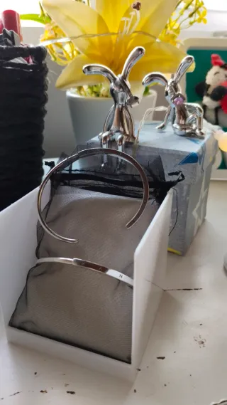 Brazalete Pandora Nueva Temporada Plata de ley 925