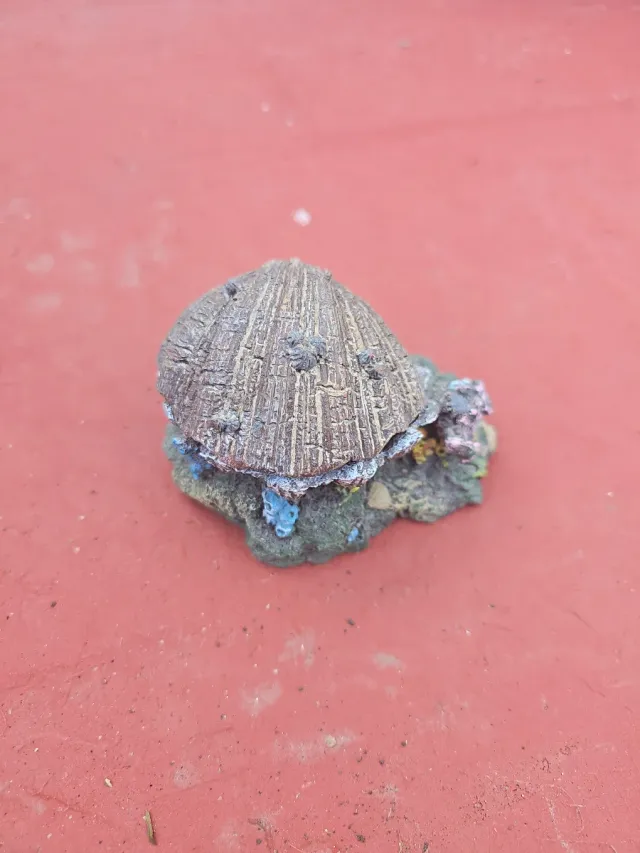 Concha aireador acuario decorativa