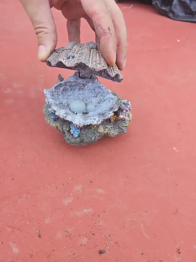 Concha aireador acuario decorativa