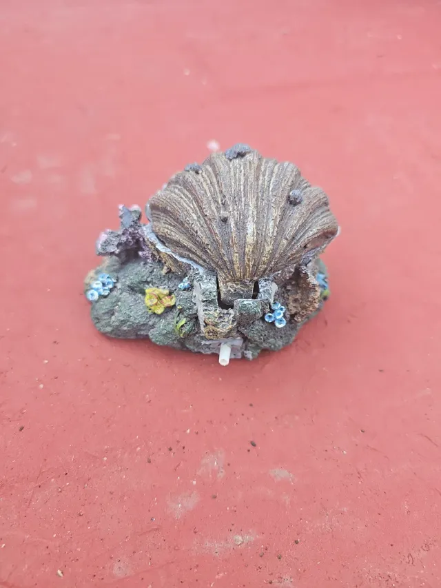 Concha aireador acuario decorativa