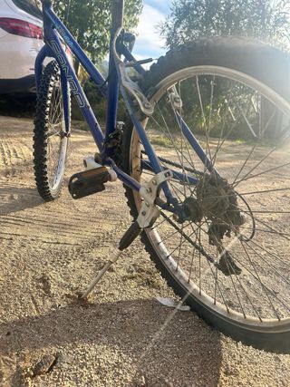 Bicicleta Conor XC40