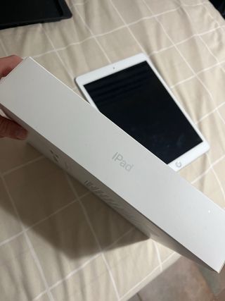 Apple iPad Plata/Blanco