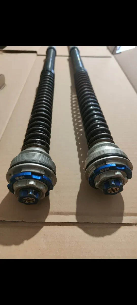 Cartuchos presurizados y amortiguador BMW S1000RR