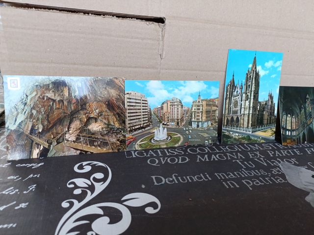 11x Cartoline vintage Leon degli anni 60/70/80