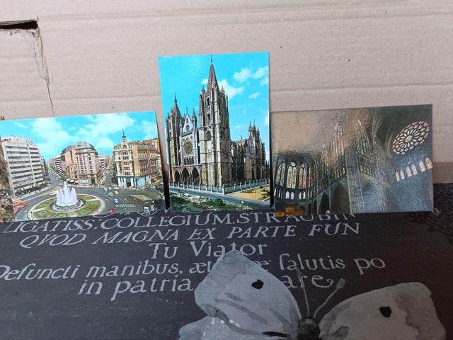 11x Cartoline vintage Leon degli anni 60/70/80