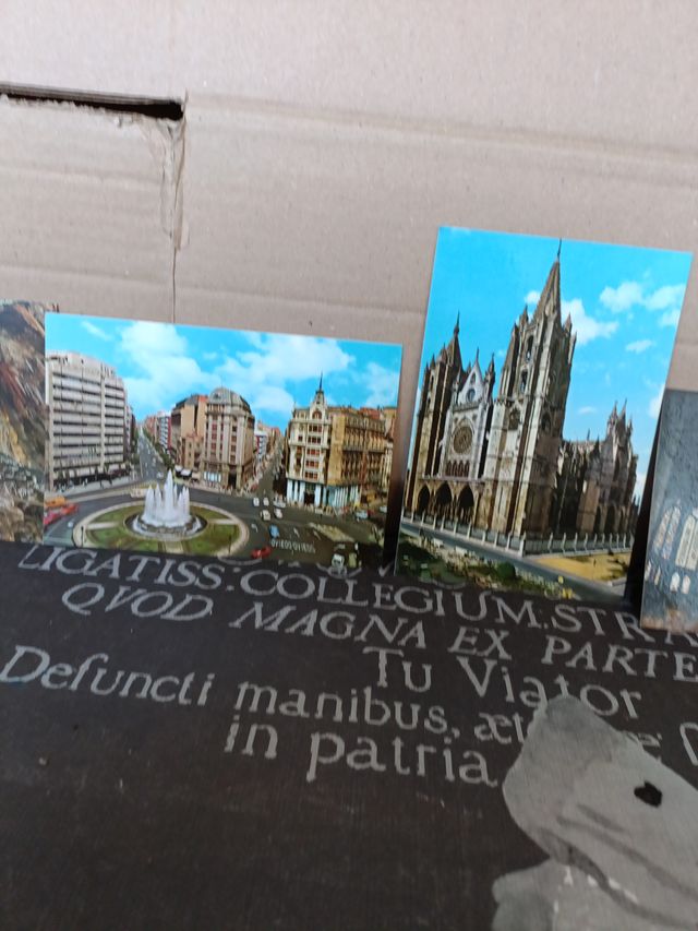 11x Cartoline vintage Leon degli anni 60/70/80