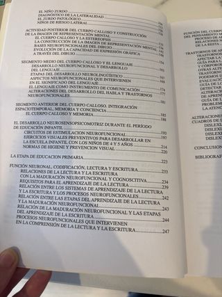 El desarrollo neurofuncional del niño y sus tra...