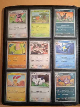 Collezione di carte Pokémon (+400 carte) e 2 album