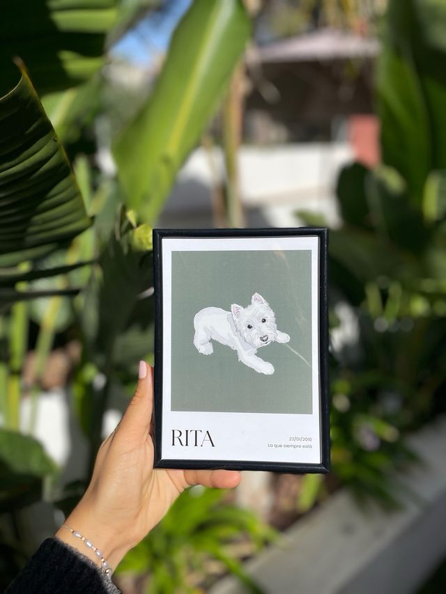 Cuadro personalizado de tu mascota